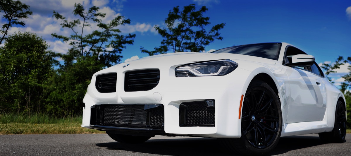 Zunsport BMW Grilles